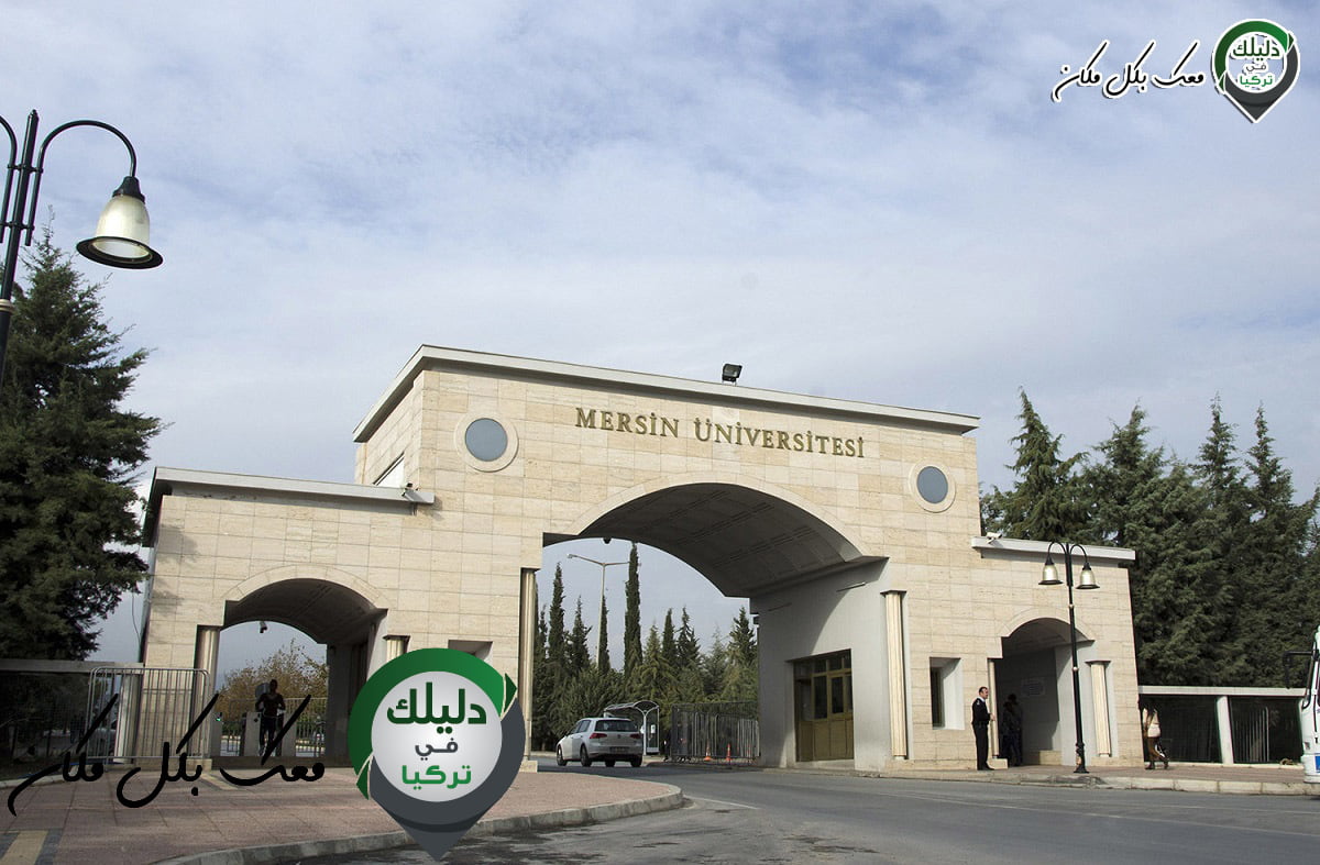 جامعة مرسين.. معلومات مفصلة عنها وعن ترتيبها والكليات بها