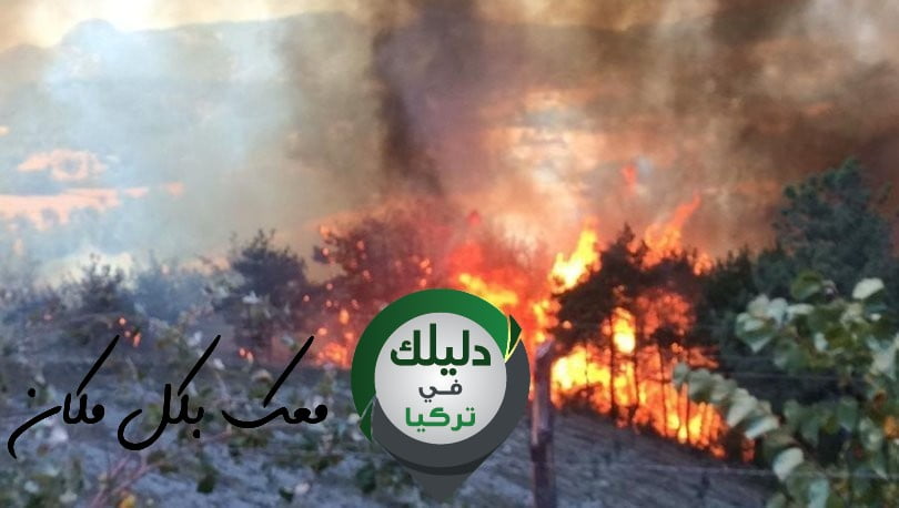 صور توضح حجم الحرائق التي نشبت في أضنة