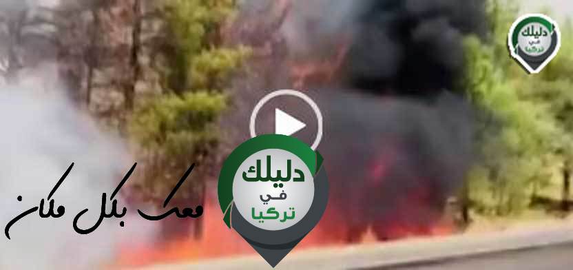 بالفيديو.. حرائق جديدة في ولاية شانلي أورفا التركية