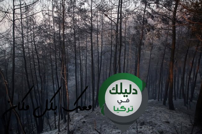 صورة بعد إخماد الحريق في ولاية أضنة