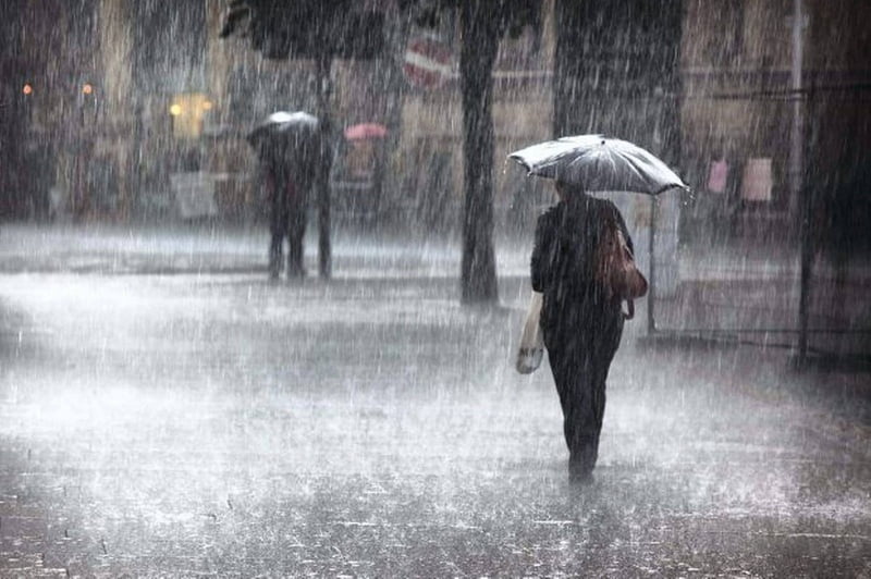 المديرية العامة للأرصاد الجوية تعلن عن أمطار ورياح قوية في عدة ولايات