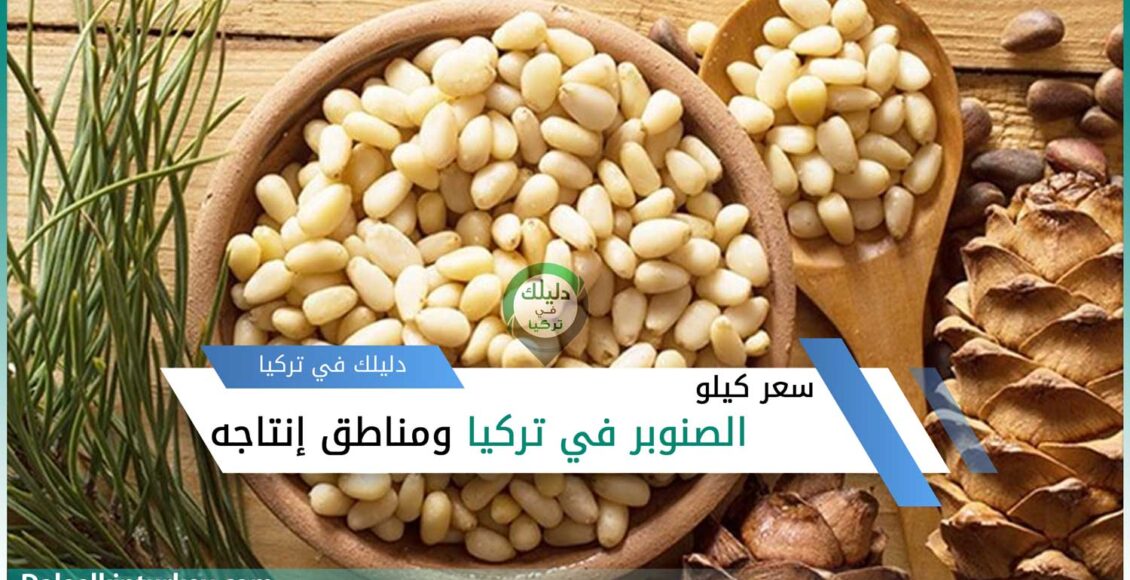 سعر كيلو الصنوبر في تركيا ومناطق انتاجه
