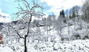 العمل على فتح 250 طريق أغلقتها الثلوج 1