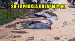 إعصار إزمير 6 1