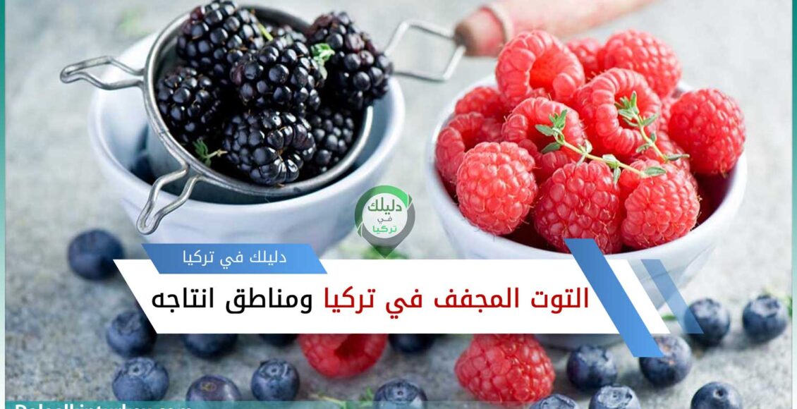 سعر التوت المجفف في تركيا ومناطق انتاجه