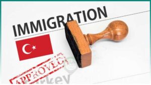طرق الهجرة إلى تركيا وتصاريح العمل والإقامة