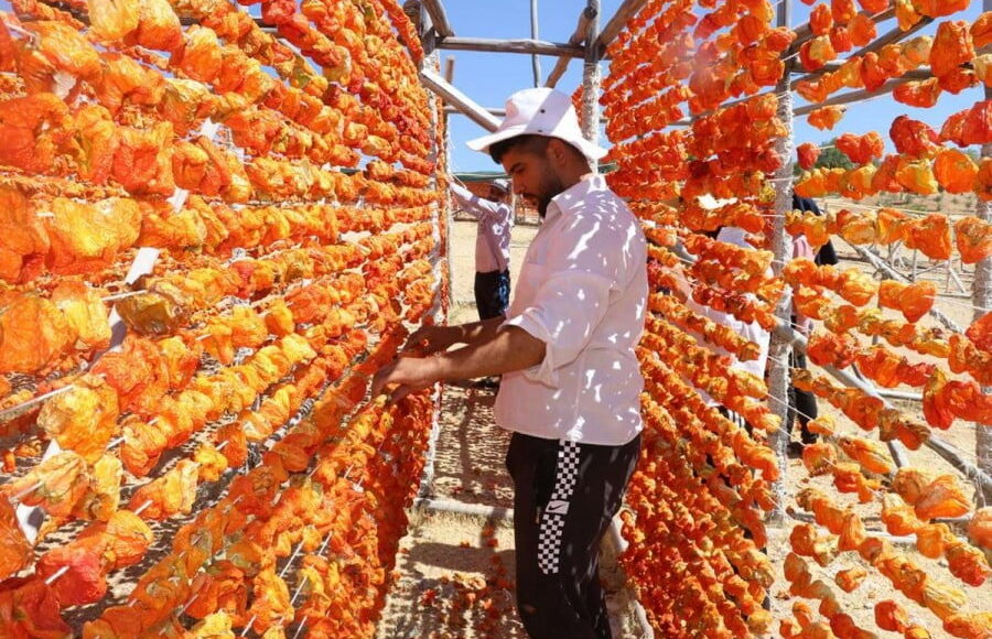 الخضار المجففة في غازي عنتاب