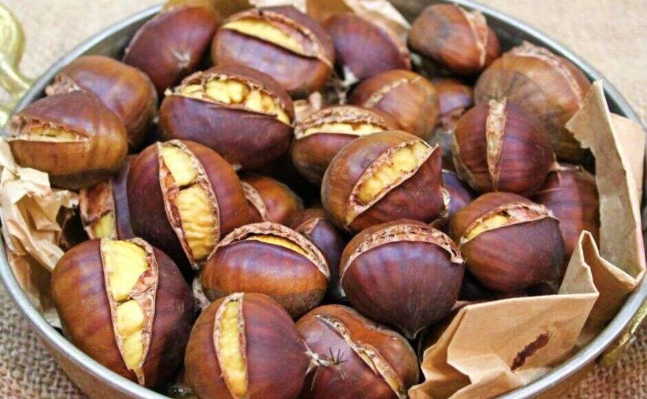 سعر كيلو الكستناء في تركيا وأماكن زراعته