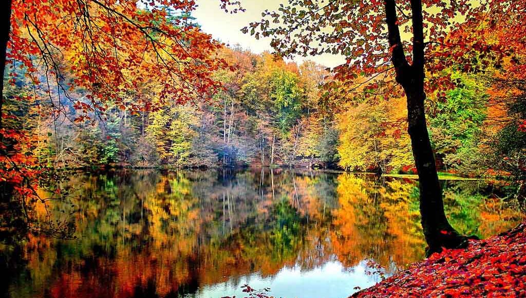 السياحة في بولو التركية