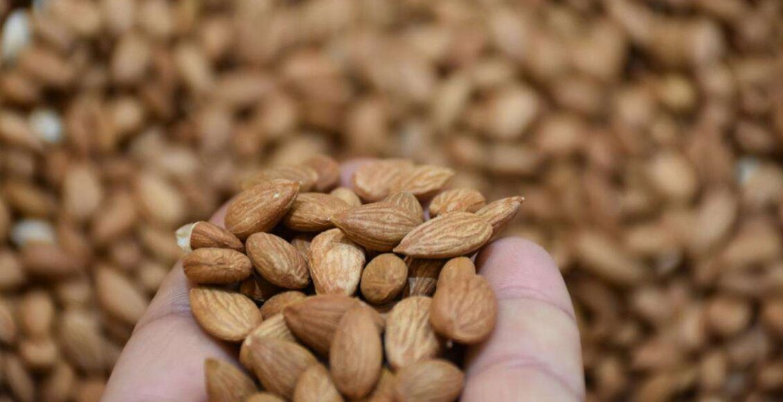 نواة المشمش