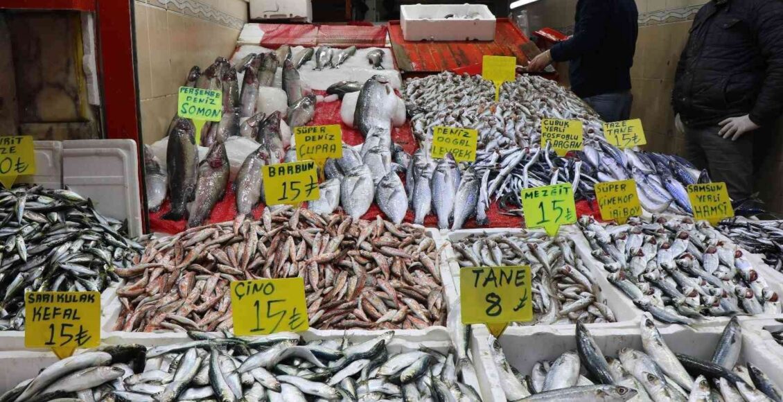 سعر السمك في تركيا