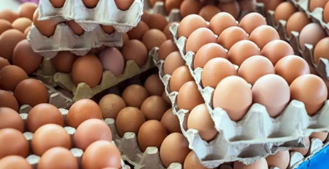 سعر البيض في تركيا 2022