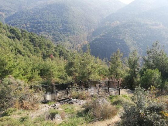 - أفضل أماكن التخييم في تركيا غابات ينيجي