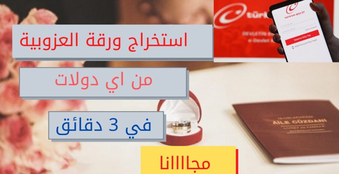 استخراج ورقة أعزب من إي دولات في تركيا