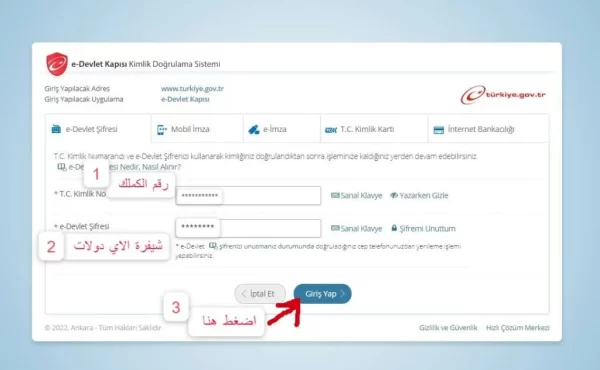 لقطة شاشة- الدخول إلى اي دولات لاستخراج وثيقة لا حكم عليه في تركيا