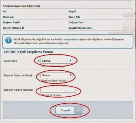 لقطة شاشة- تعبئة طلب الحصول على وثيقة لا حكم عليه في تركيا