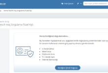 رابط معرفة عدد السيارات المسجلة باسمك في تركيا