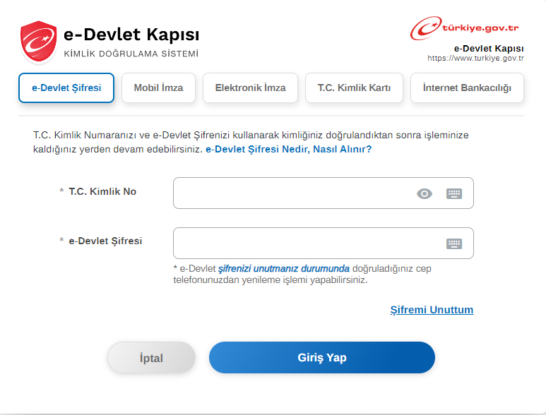 لقطة شاشة- تسجيل الدخول إلى الاي دولات لتتبع ملف الجنسية التركية