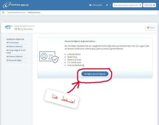 لقطة شاشة - رابط طلب التقديم على الجنسية التركية