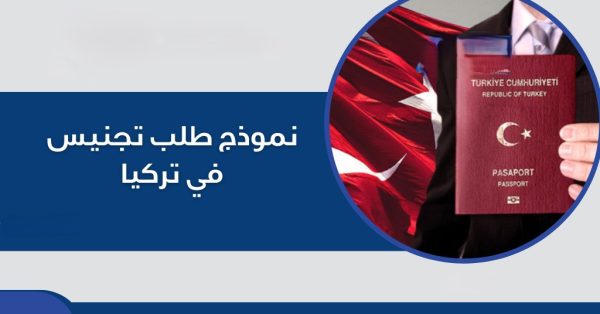نموذج طلب التجنيس في تركيا عبر إي دولات