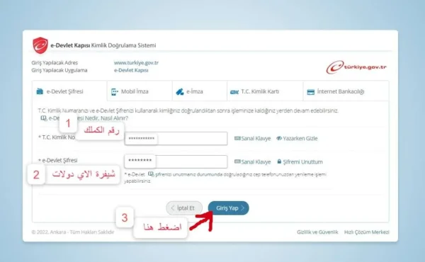 لقطة شاشة- ادخال معلومات الخاصة بتسجيل الدخول إلى اي دولالت بعد الضغط على رابط الاستعلام عن الشركات في تركيا