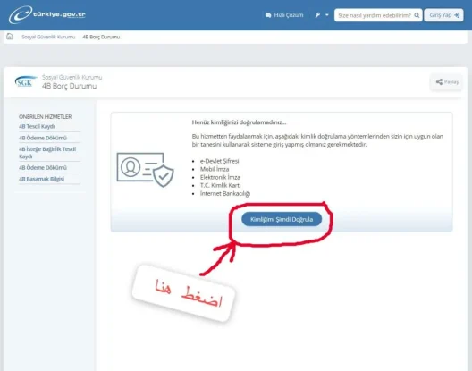 لقطة شاشة- التحقق من الدخول إلر رابط الاستعلام عن الشركات المسجلة باسمك في تركيا